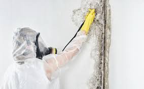 Best Industrial Mold Remediation  in Wilmington, NC